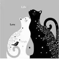 蜜桃猫情侣头像黑白微信头像图片大全
