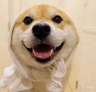 有些人表面是个演员,没想到背地里是个运动员
