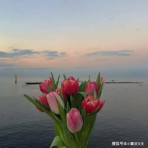 早晨送给自己的句子,句句温暖舒心
