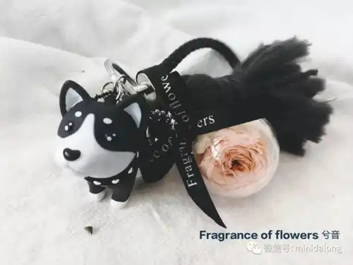 不是因为不喜欢你,而是因为我不够好大龙的睡前悄悄话
