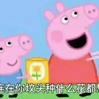 最近很火的社会头像小猪佩奇微信头像图片大全
