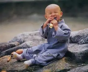 吃什么能让脑子变的聪明一点
