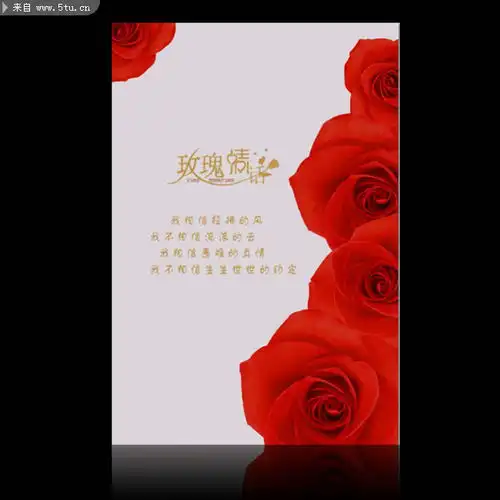 婚纱相册背景红色玫瑰图片

