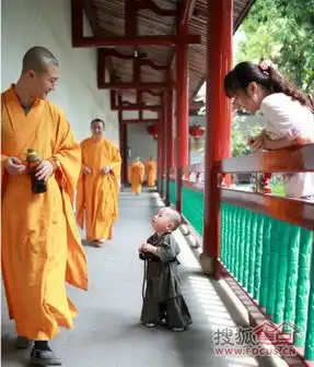 福州西禅寺小和尚超可爱网友大喊萌到一脸的血了
