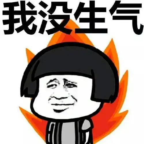 大家好,这是我的年终总结扎心版
