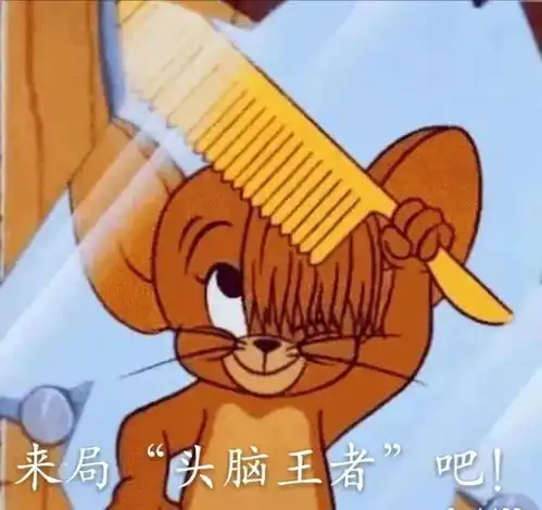 皖院版头脑王者
