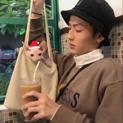 有没有非常非常不明显的情侣头像,特别不明显的情头
