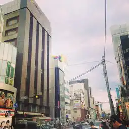 北海道之夏海量图片
