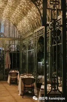 狮城情人节约会指南,氛围感餐厅,感情升温秘籍
