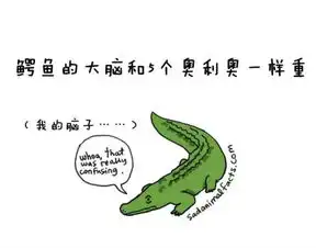 猪都看不到天空,你整天还纠结啥子呢
