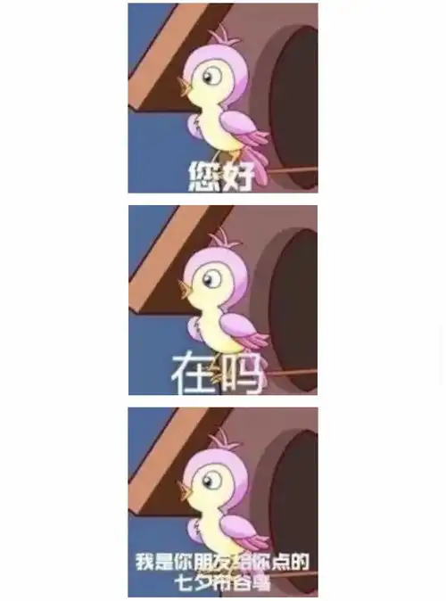 情人节限定,七夕小青蛙,你值得拥有
