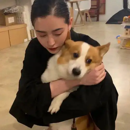 微信头像独一无二
