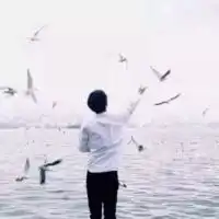 平鲁九儿快手直播
