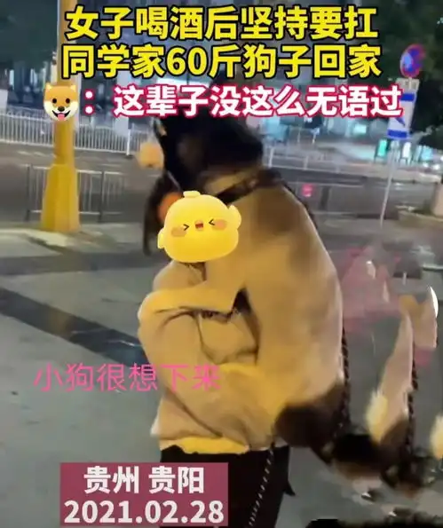 贵州一女孩酒后抱着大狗回家,二哈被迫营业快放我下来
