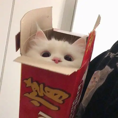 可爱搞怪头像背景图
