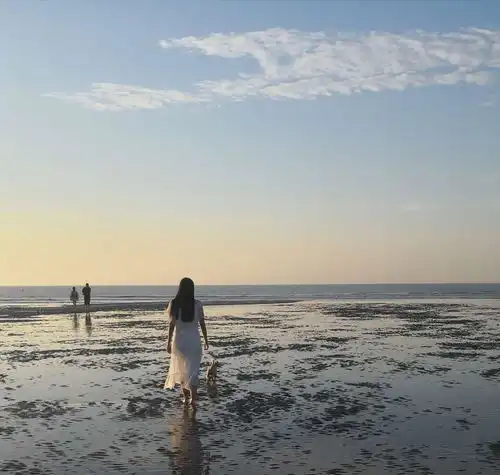 海边日出壮丽柔美都是你
