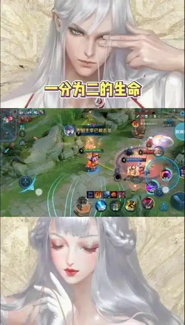 王者荣耀独一无二的灵魂
