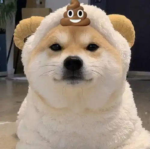 不会被男朋友发现的情头
