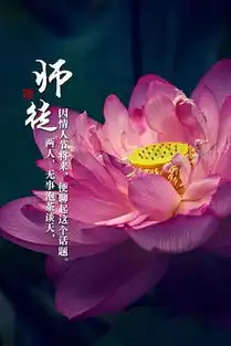 明天是情人节佛告诉你情人是什么
