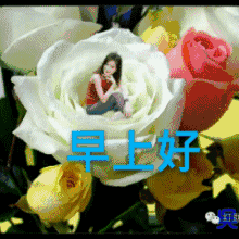 2019最新早上好图片带字和鲜花,早晨动态图片大全
