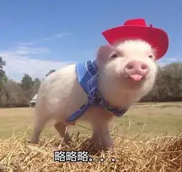 这猪不能吃,因为它有20万粉丝
