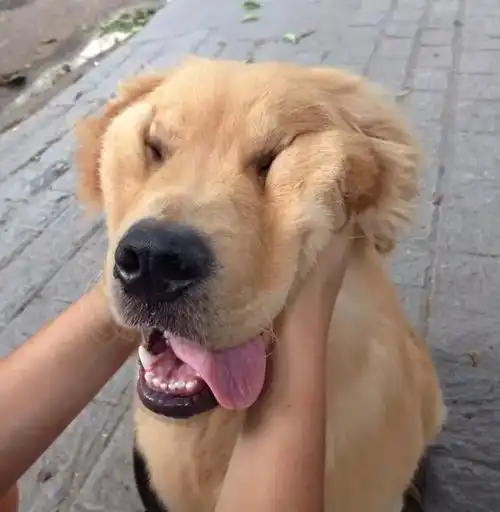 手感最好柔软度最佳你想到了什么
