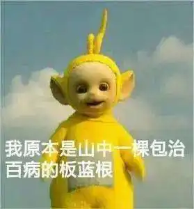 板蓝根又被抢没了它对新冠病毒真的有效吗
