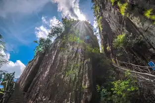 遂昌盛夏行,寻找那喧嚣世界里的泊心天堂
