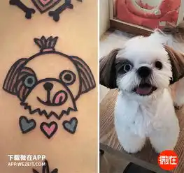 17张宠物纹身送给你,把爱宠带在身上
