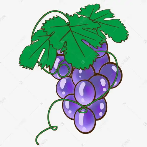紫色的葡萄手绘插画素材图片免费下载千库网
