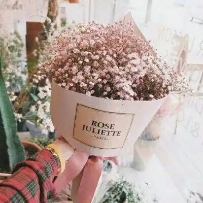 沈曦唯美ins花束背景图
