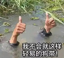 今日广州雨太太太太太大啦,连标题都冲走咗......
