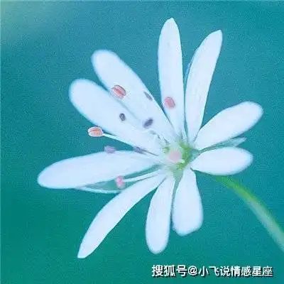 非常迷人的三个生肖女,年龄增加魅力不减,越老越有女人味

