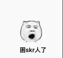 突然很火的skr究竟是个什么东西
