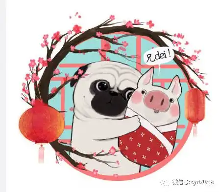 什么猪龙精神敢不敢戳视频,保证颠覆你的认知
