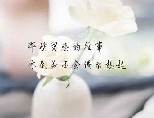 好想你,只能在梦里见到你
