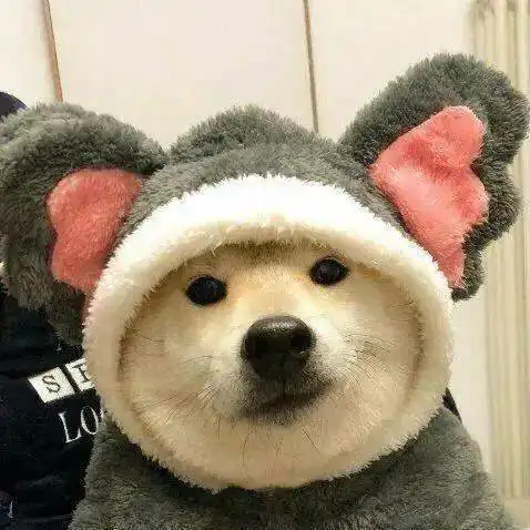 头像丨超爱这组头像
