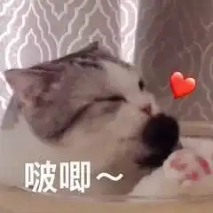 约会也太难了,真大型尴尬现场
