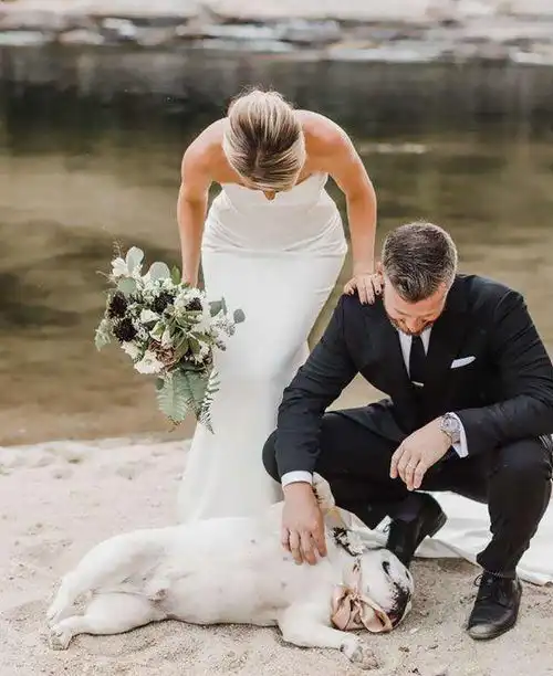 主人带爱犬见证婚礼,但这只愚蠢的狗狗,显然不是这么想的
