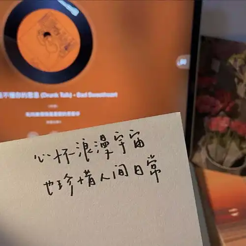 特别高级且时刻充斥着质感的冷漠文案
