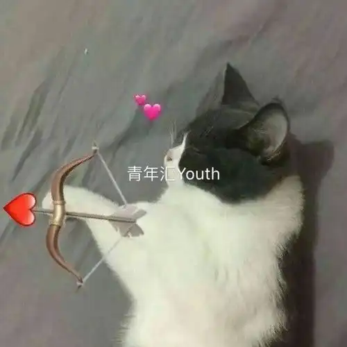 因为这个头像闺蜜居然和男友分手了哈哈哈可怕
