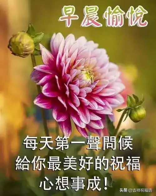 时光不说话,却验证了一切真假岁月虽无声,却检验了一切感情
