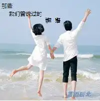 少年小说家
