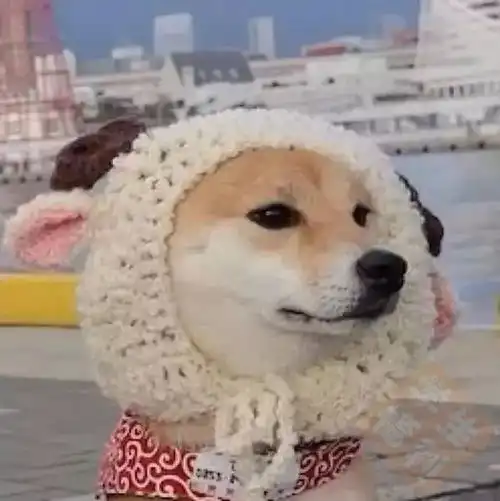 抖音超火十大情侣头像
