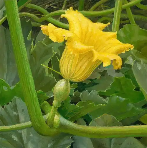 她的写实作品,差点以为是照片,特别是荷花
