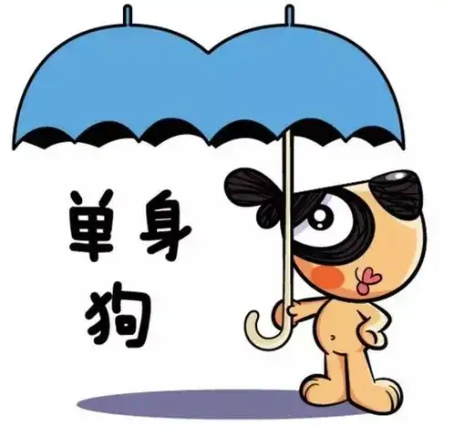 如果你和异性合租,不的不考虑.....
