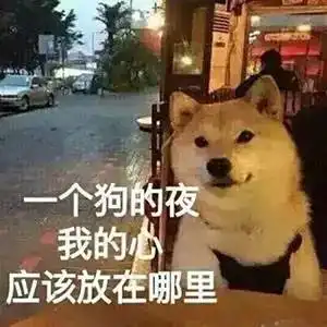 有一种恋情介乎于单身狗和情侣之间
