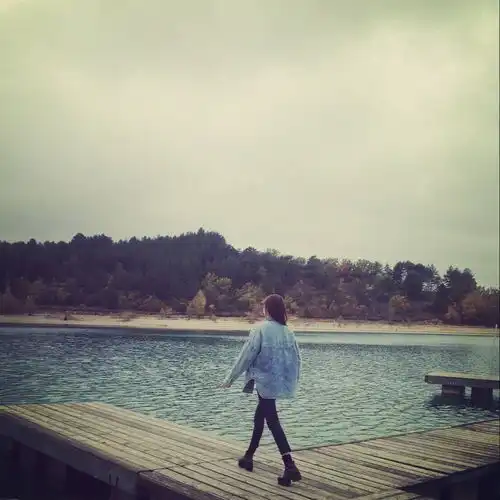 雨中贵族
