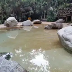 四川成都鱼凫国都温泉大酒店温泉门票,成都四川成都鱼凫国都温泉大酒店温泉攻略地址图片门票价格
