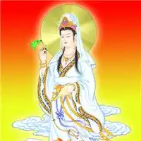 观音头像图片大全微信最好看的观音菩萨图片
